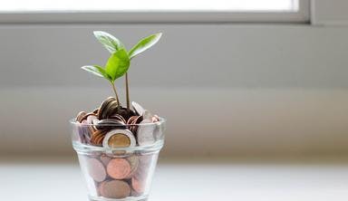 Plant growing inside a cup with coins